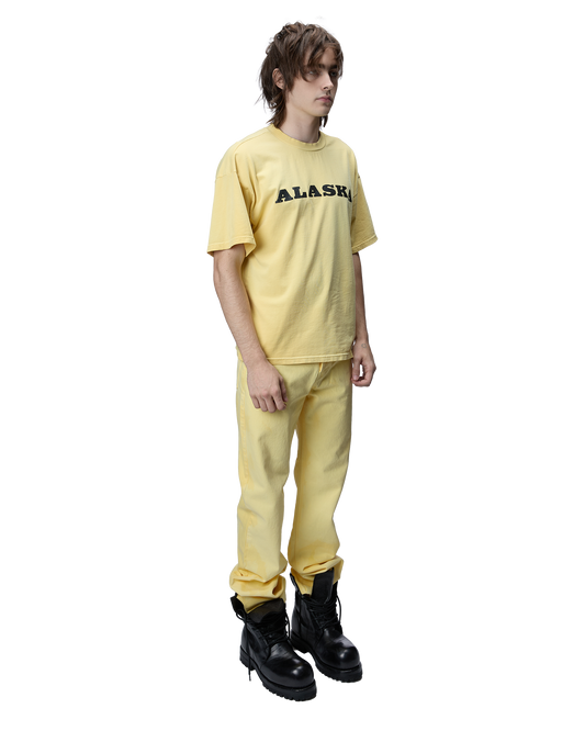 Alaska T-Shirt