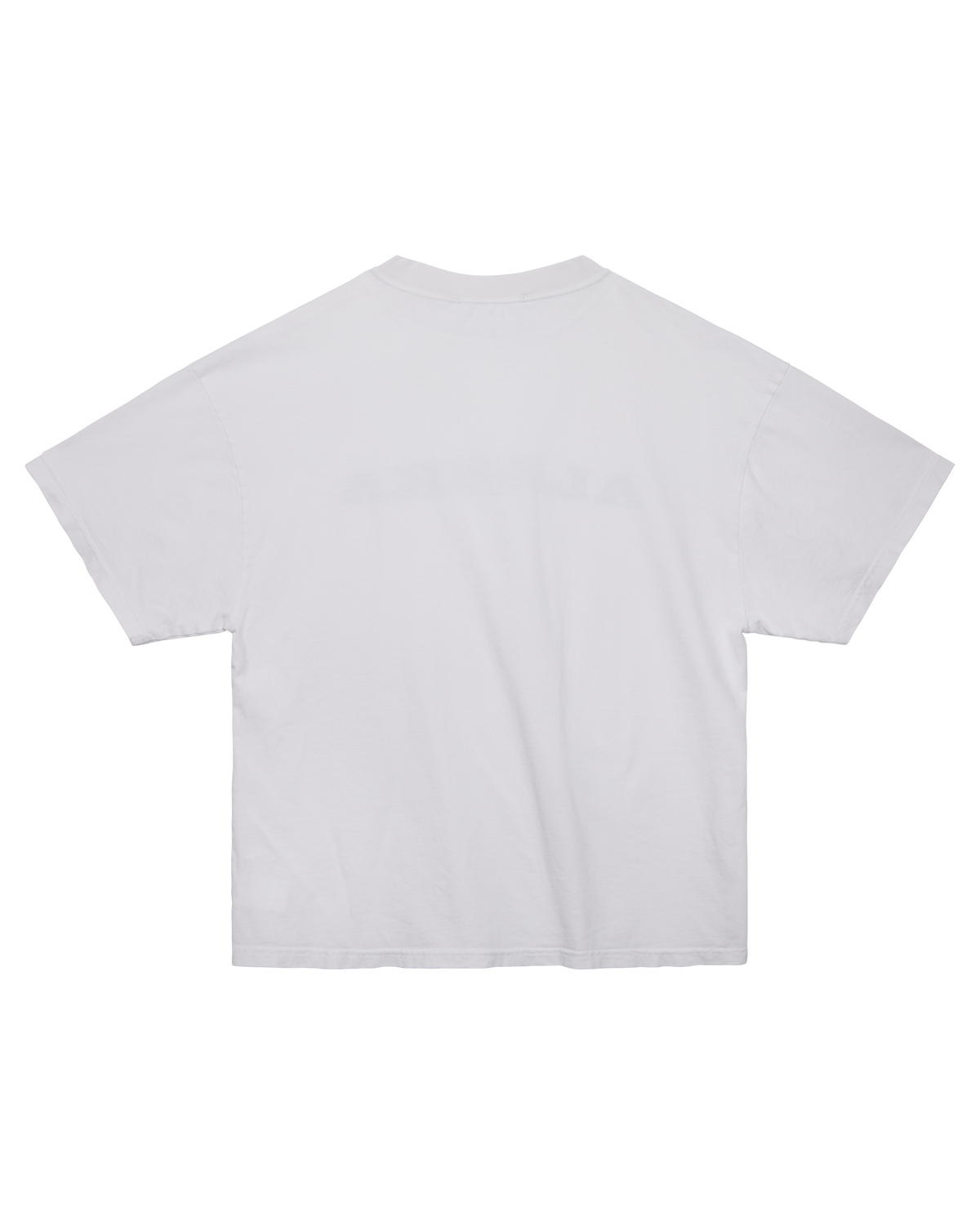 Alaska T-Shirt